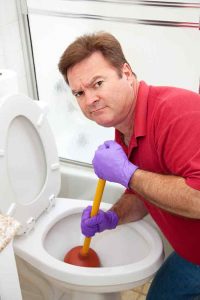 La Grange Toilet Repair Services